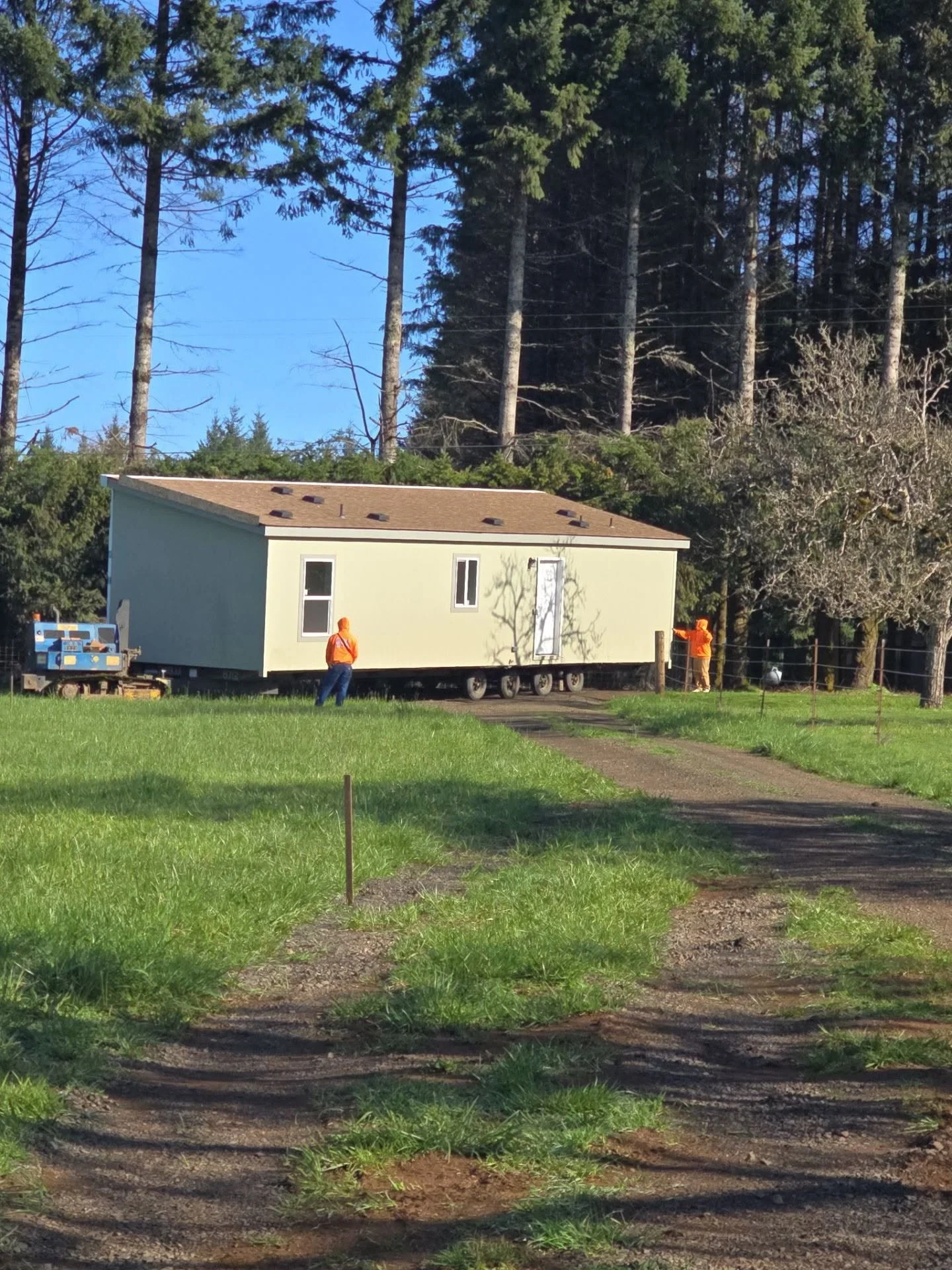 Yellow and gray mobile home on trailer being positioned on gravel lot with forest backdrop