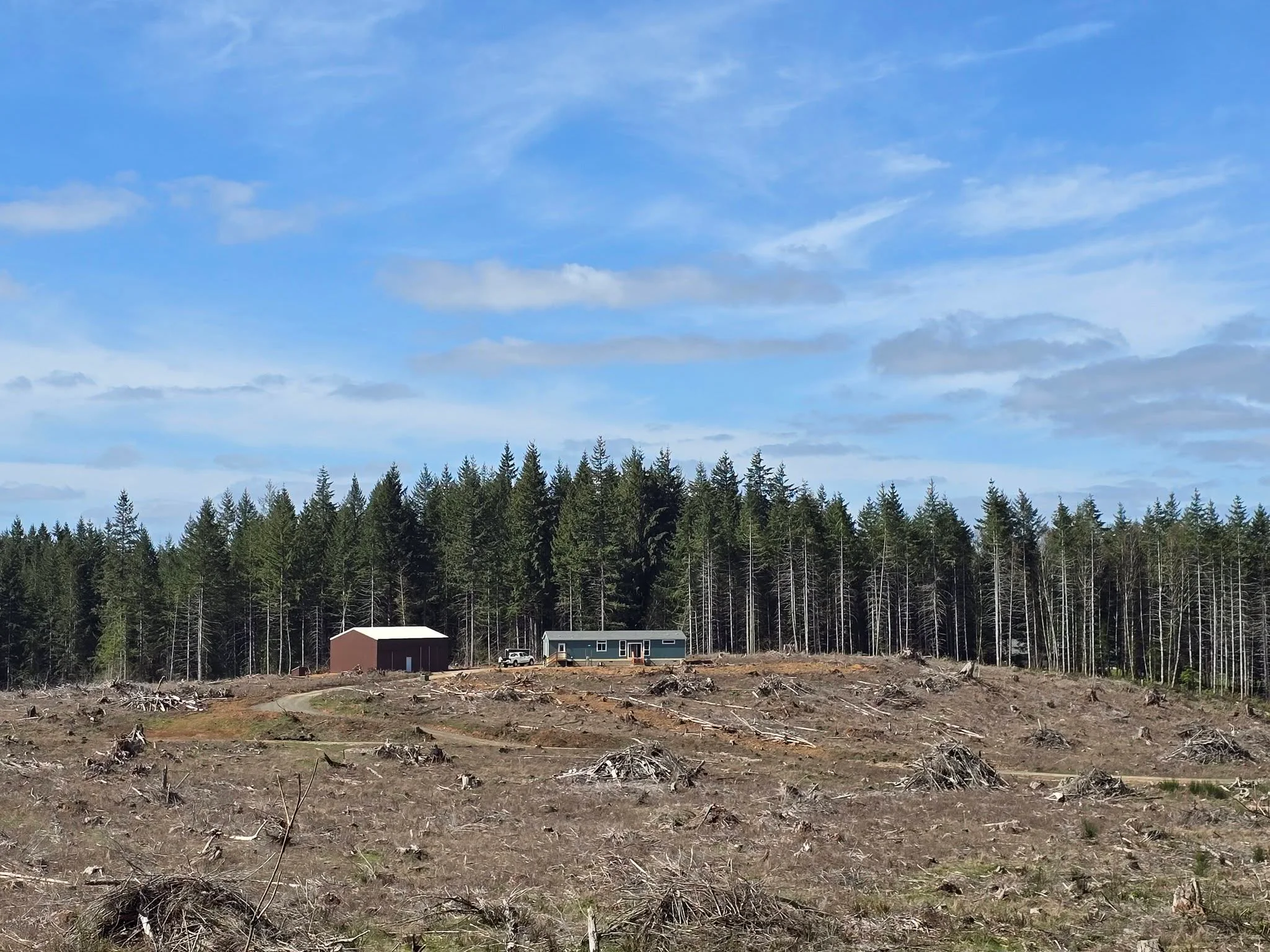 Cleared land with timber debris, two buildings, and conifer forest background