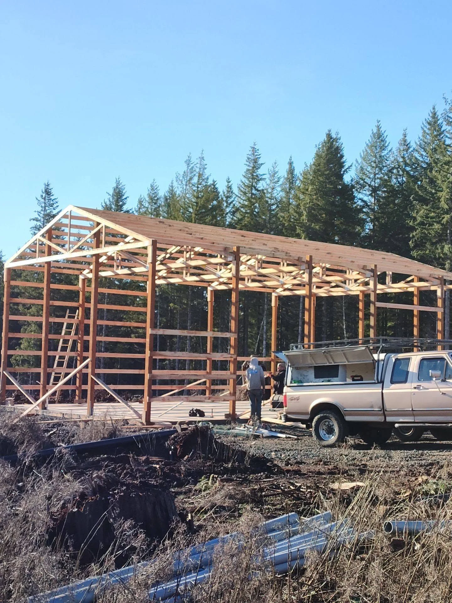 Timber post and beam barn frame with gable roof and exposed wood structural members under construction